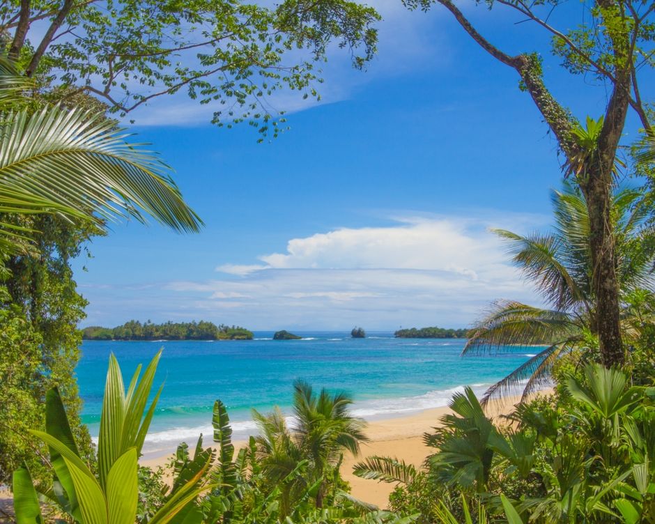 Bocas del Toro Red Frog Beach