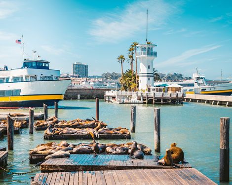 San Francisco Pier 39