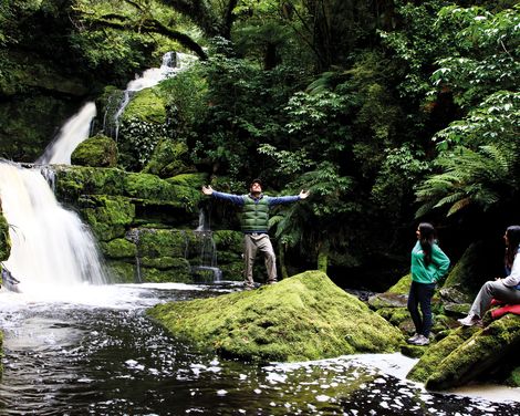 Catlins Forest Park McLean Falls 