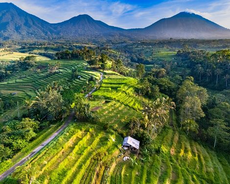 Bali Jatiluwih
