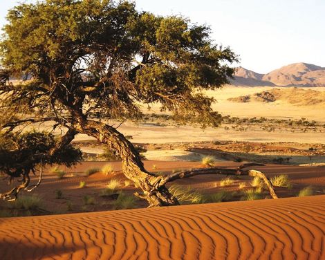 Namib Wueste