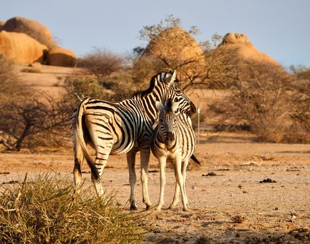 Namibia