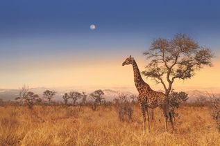 Botswana Rundreisen