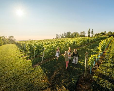 Annapolis Valley Wolfville Weingut