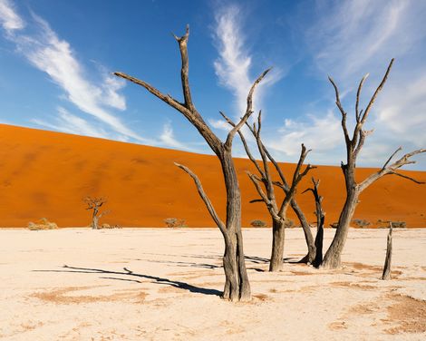 Namib Naukluft Nationalpark Deadvlei