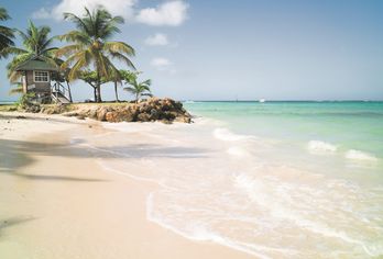 Tobago mit dem Mietwagen entdecken 