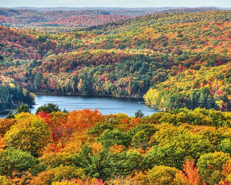Algonquin Provincial Park Indian Summer