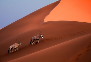 Namibia - zwischen Canyon und Küste