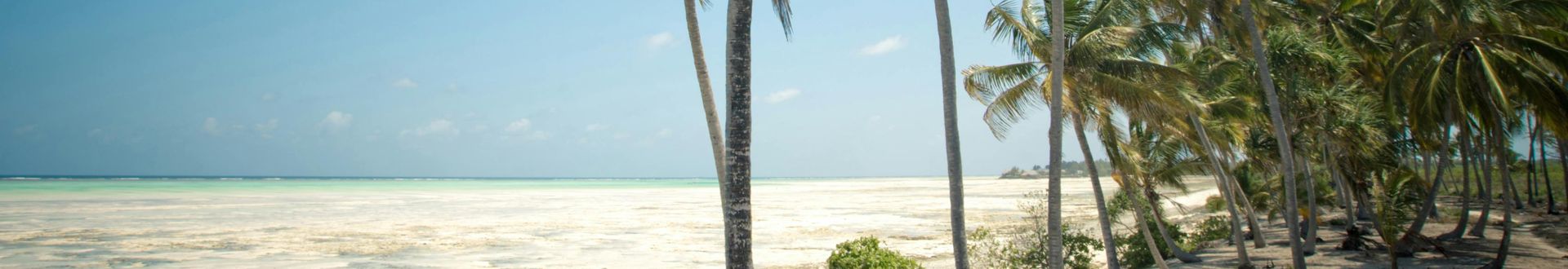 Individuelle Reiseplanung