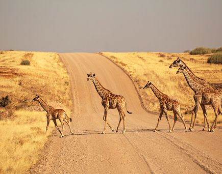 Namibia