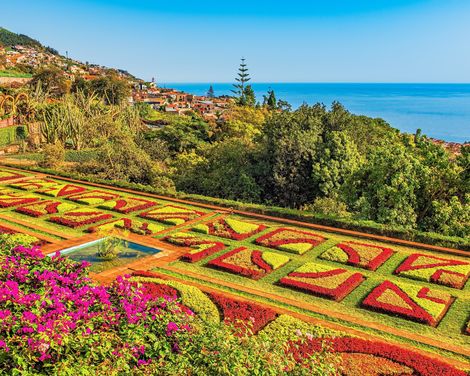 Madeira Funchal Botanic Garden