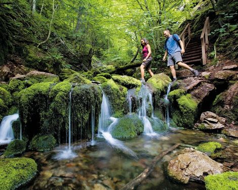 Fundy Nationalpark Wasserfall