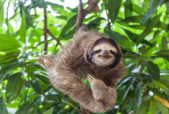 Costa Rica entdecken