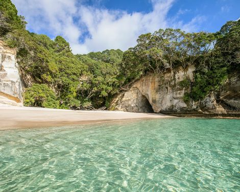 Coromandel Peninsula Cathedral Cove