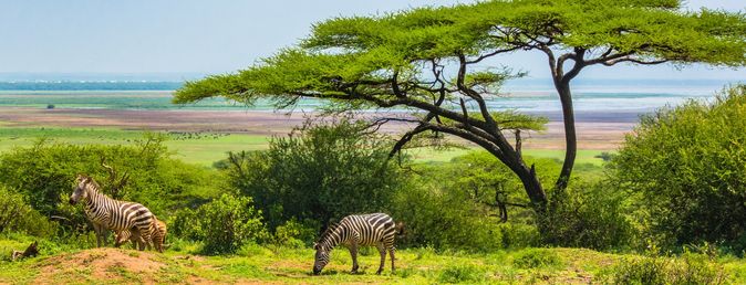 Sansibar und Safari-Abenteuer