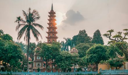 turm und gebaude unter wolken mit palme im vordergrund