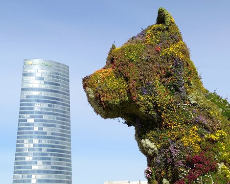 Bilbao Guggenheim Museum Puppy