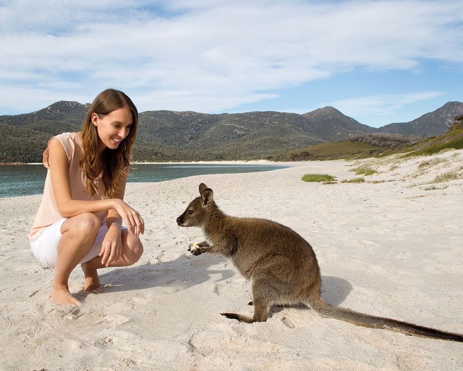 Freycinet Nationalpark Wineglass Bay