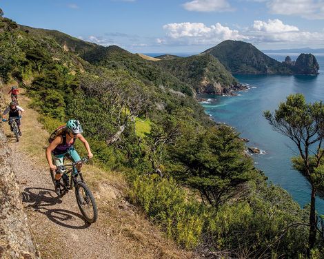 Coromandel Peninsula Fahrradtour