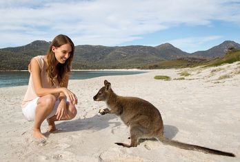 Naturerlebnis Tasmanien