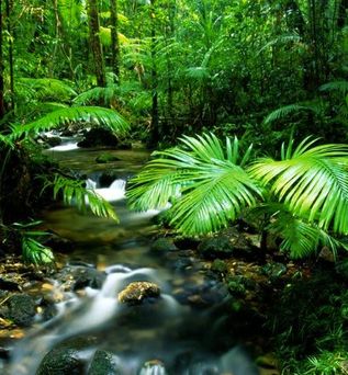 Australien