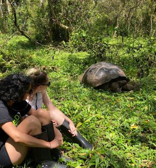 Galapagos