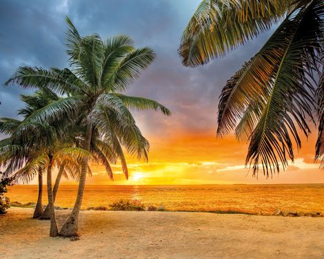 Key West Sonnenuntergang