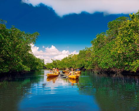 JN Ding Darling National Wildlife Refuge