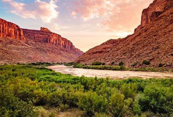 Canyons, Hochebenen und Hoodoos