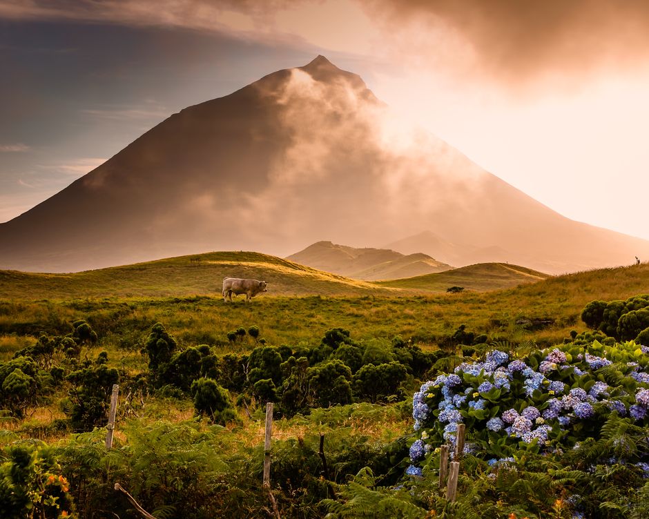 Azoren Insel Pico Mount Pico