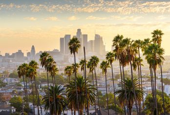 California Dreaming