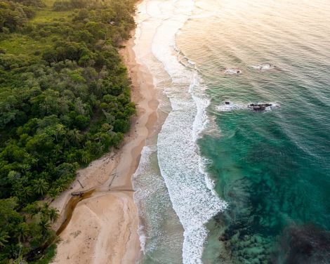 Bocas del Toro Red Frog Beach