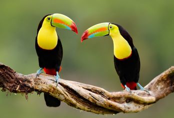 Costa Rica erfahren