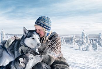 Magisches Lappland 