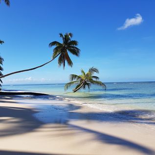 Tobago