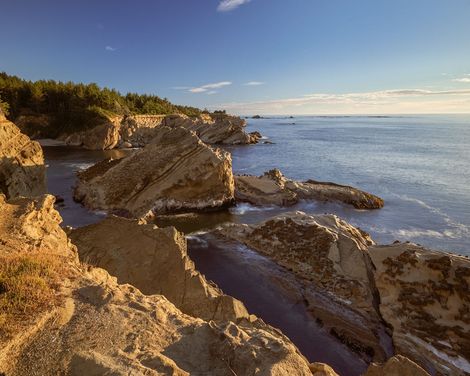 Shore Acres State Park