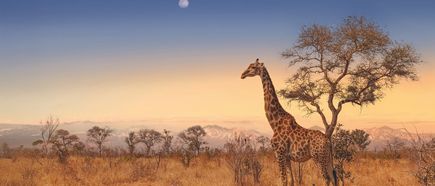 Botswana Rundreisen