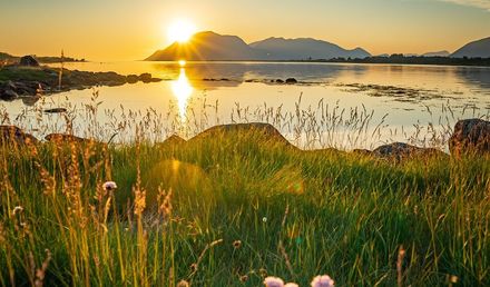 Sommer unter der Mitternachtssonne