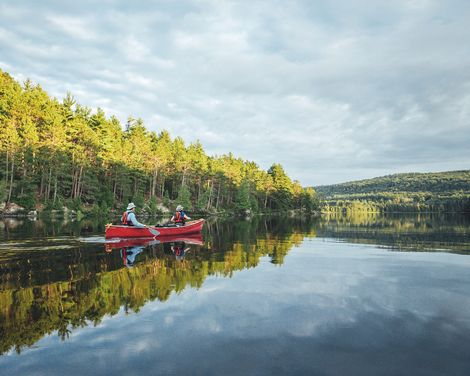 Algonquin Provincial Park