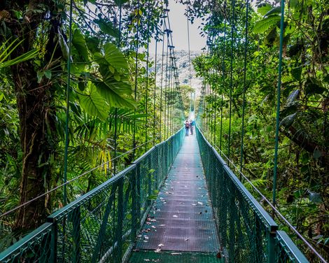  Monteverde Nationalpark