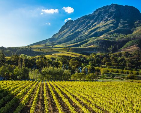 Stellenbosch