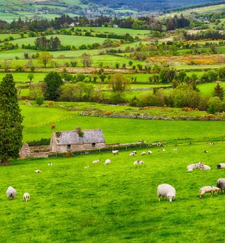 Irland Rundreisen 