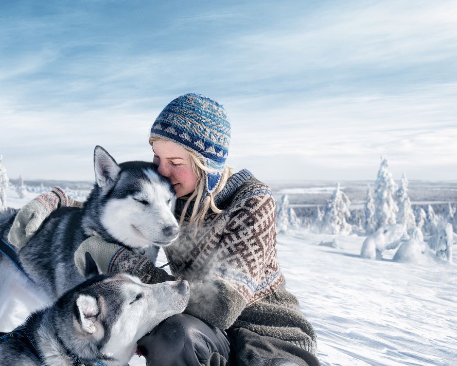 Finnland Husky