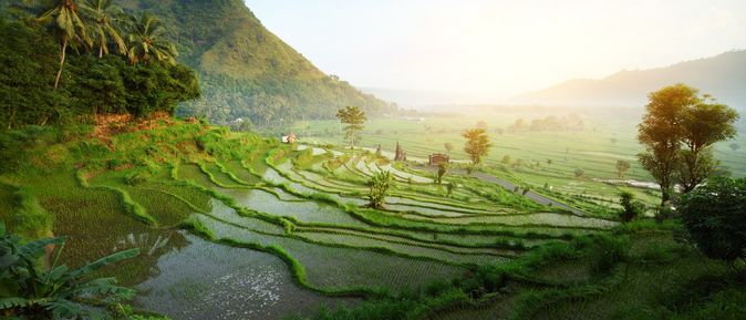 Bali