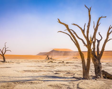 Namib Naukluft Nationalpark