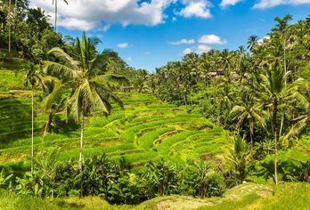 Facettenreiches Bali 