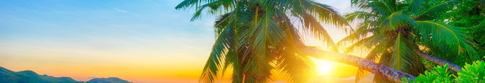 Reisen im Sommer
