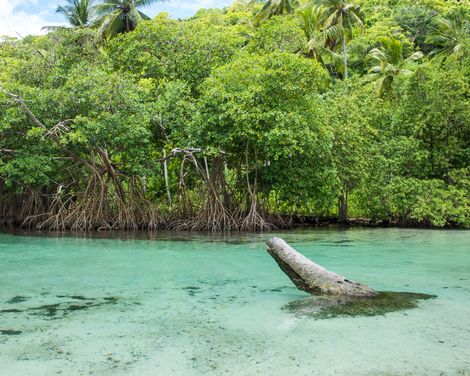 Samana Caño Frío, Playa Rincón