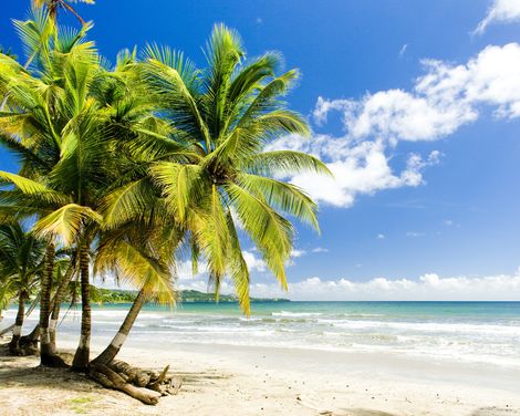 Tobago Englishmans Bay