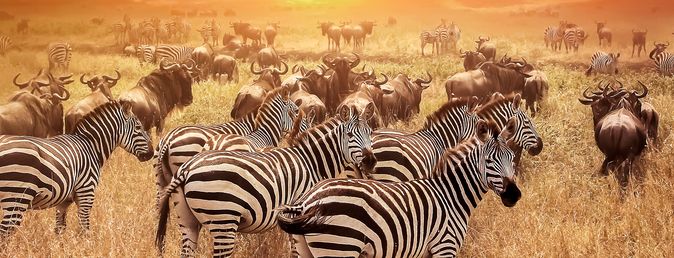 Kenia und Tansania Abenteuer